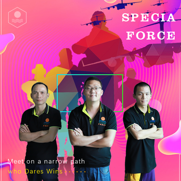 Специальная военная команда
